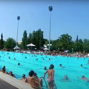 bazen sajmište novi sad