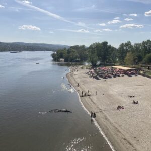 Štrand Novi Sad