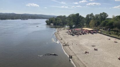 Štrand Novi Sad