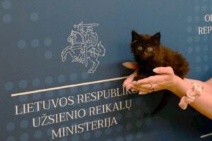 crno mače ministarstvo spoljnih poslova litvanija