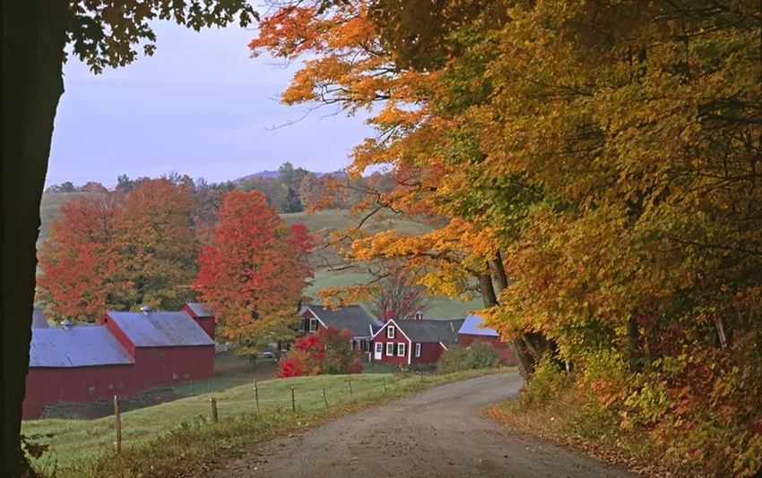 Jenne Road vermont