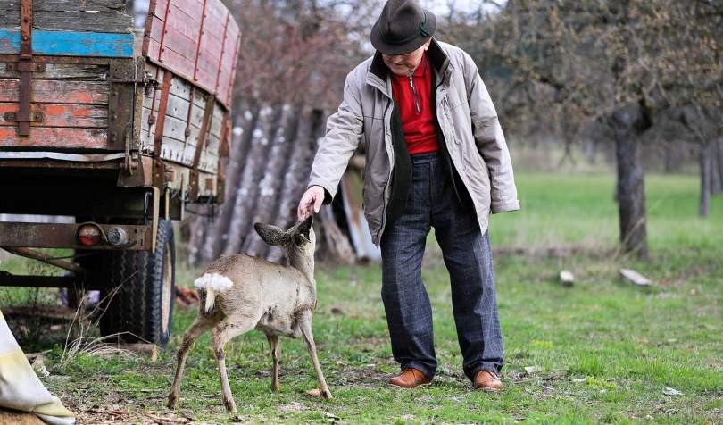 Stariji čovek na livadi koji miluje životinju.