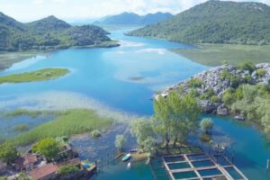 skadarsko jezero crna gora