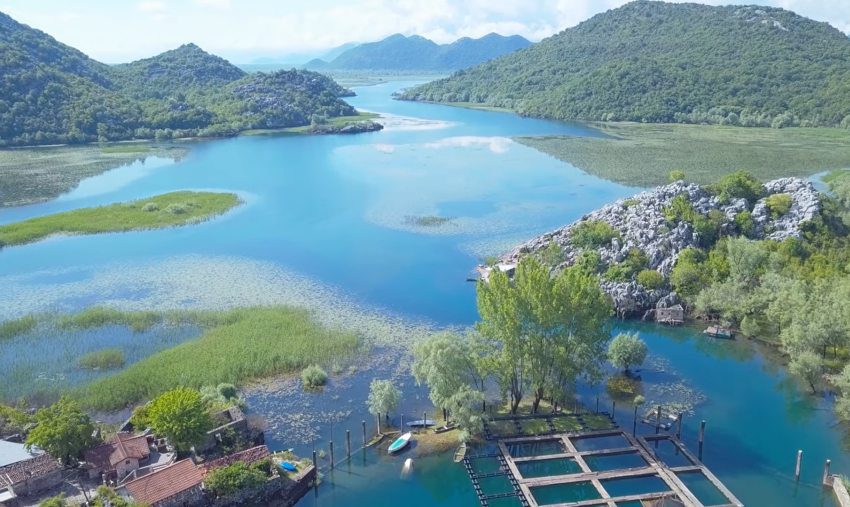 skadarsko jezero crna gora