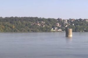 dunav novi sad