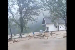 poplave bih