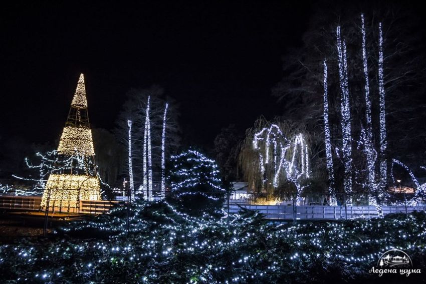 ledena šuma novi sad otvaranje