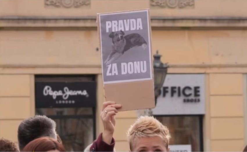 vozač saniteta izvinjenje pas dona