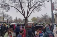 ćacilend pionirski park beograd