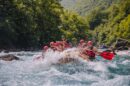 1 COVER DRINA-TARA 2025