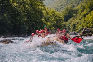 1 COVER DRINA-TARA 2025