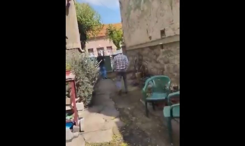 ljupko sns aktivisti