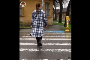 pešački prelaz sombor