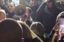 priveden student snimak sa plenuma pušten na slobodu beograd
