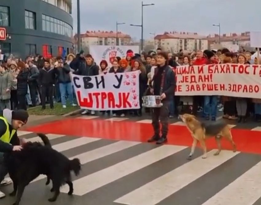 dona pas protest