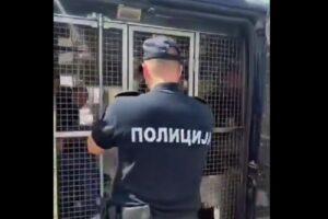 policija hapsenje