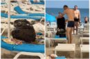 ručak na plaži pčele ukrajinska porodica
