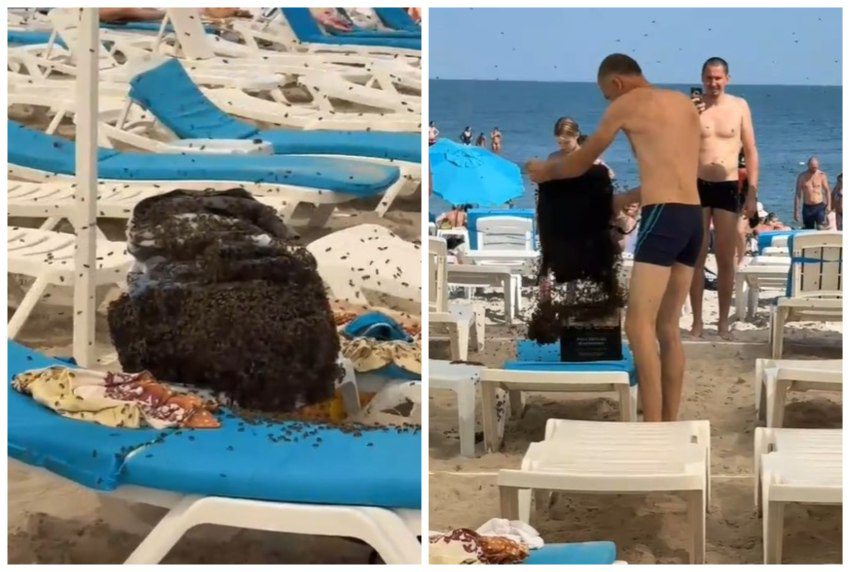 Poneli užinu na plažu pa otišli da se bućnu, kad su izašli iz vode dočekao ih prizor iz horor filma (VIDEO)
