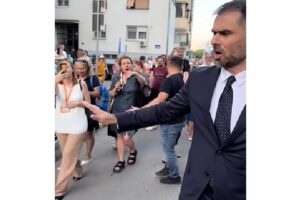 žarko mićin svilara