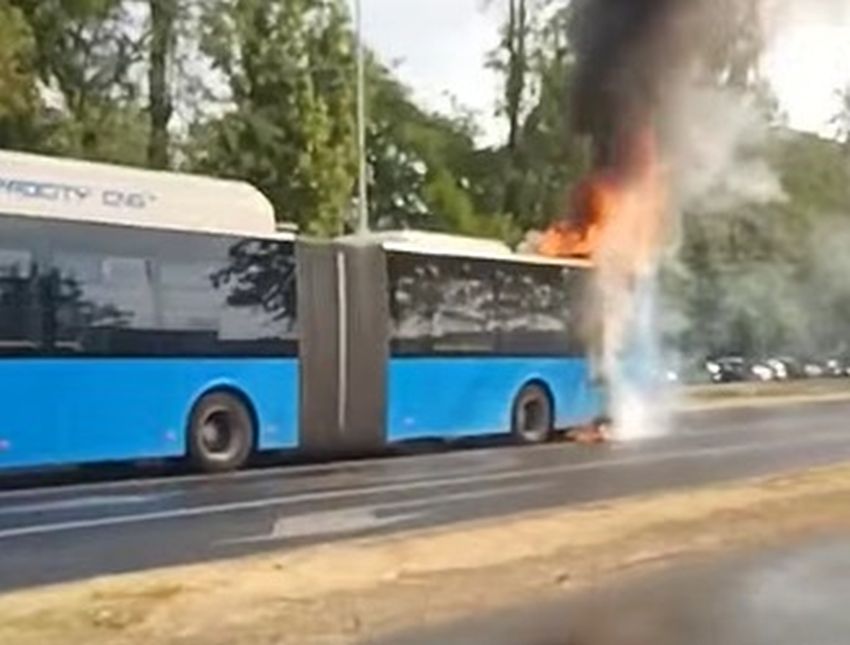 autobus jgsp