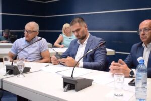 skupština mićin