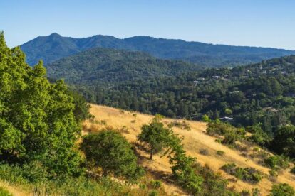 Brdo prekriveno šumom i zelenilom