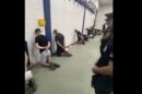 policijska brutalnost