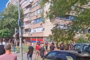 srpske trobojke aktvisti SNS liman novi sad