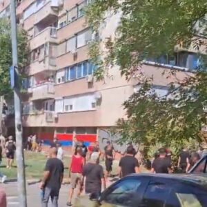 srpske trobojke aktvisti SNS liman novi sad