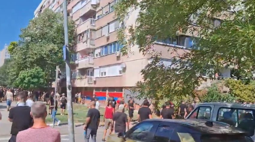 srpske trobojke aktvisti SNS liman novi sad