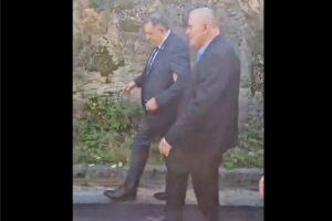 dodik