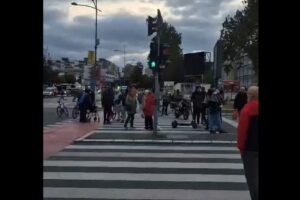 protest merkator