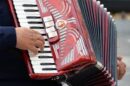 harmonika