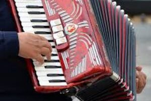 harmonika