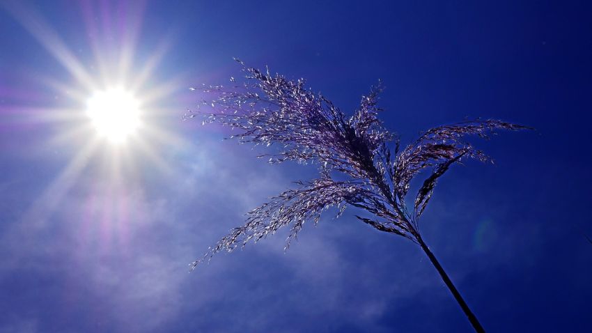 sunce leto