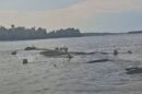 brod dunav