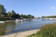 vodostaj dunava štrand