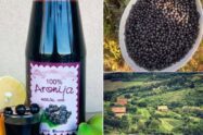 aronija