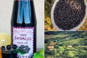 aronija