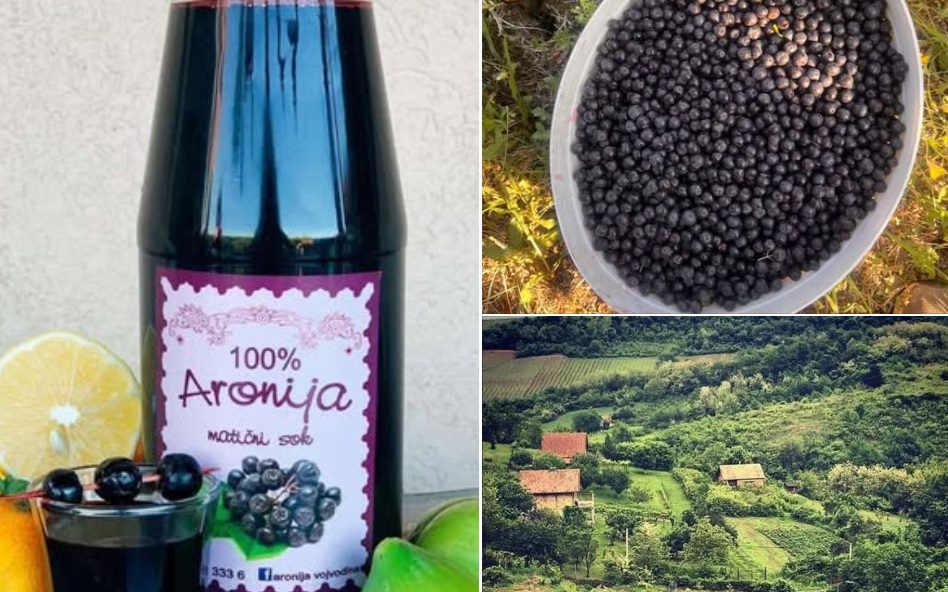 aronija