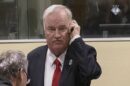 mladic