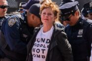 suzan saradon