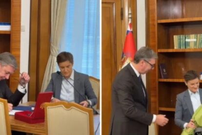 vucic brnabic