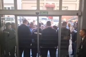 futoški park licijatica aktivisti