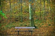 park