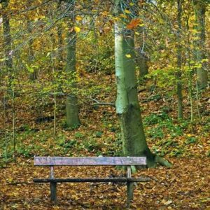 park